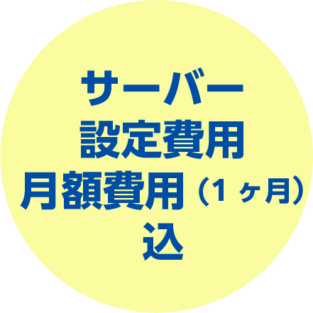 サーバー設定費用・月額費用(1ヶ月）込