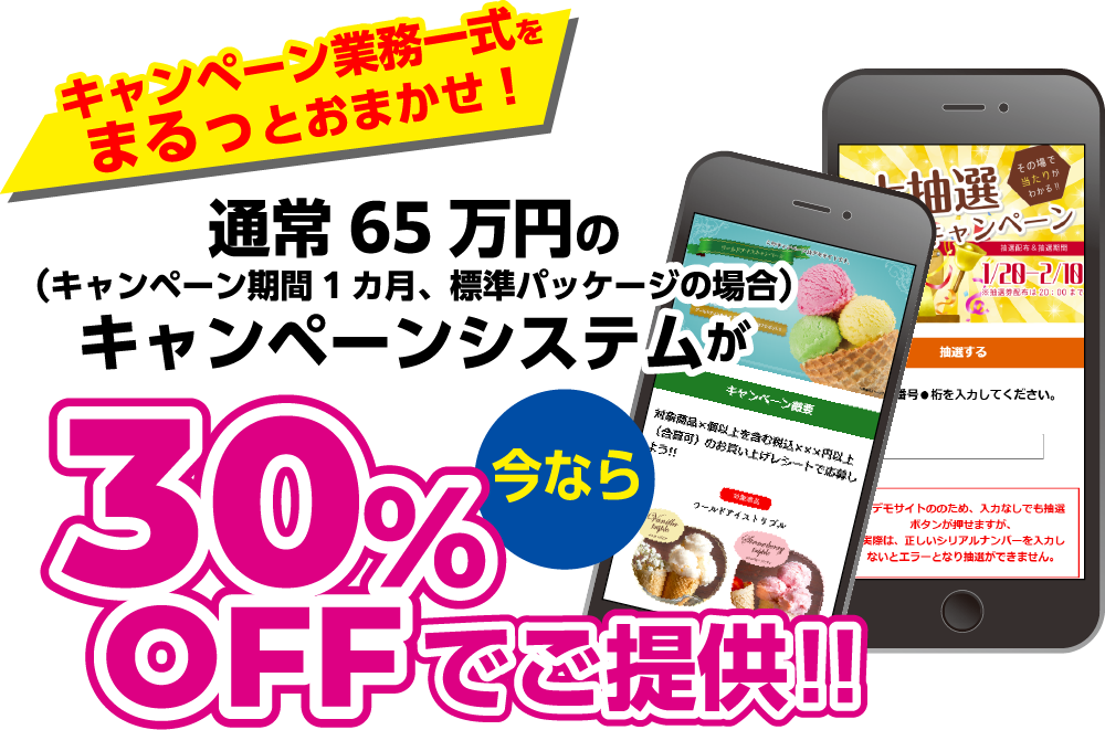 通常65万円のキャンペーンシステムが今なら30%OFFでご提供!!